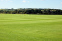 Another field ready for harvesting