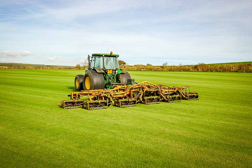 Garden turf rolls