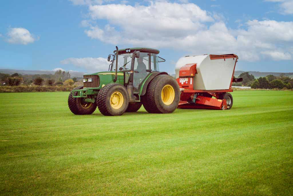 Quality grass turf