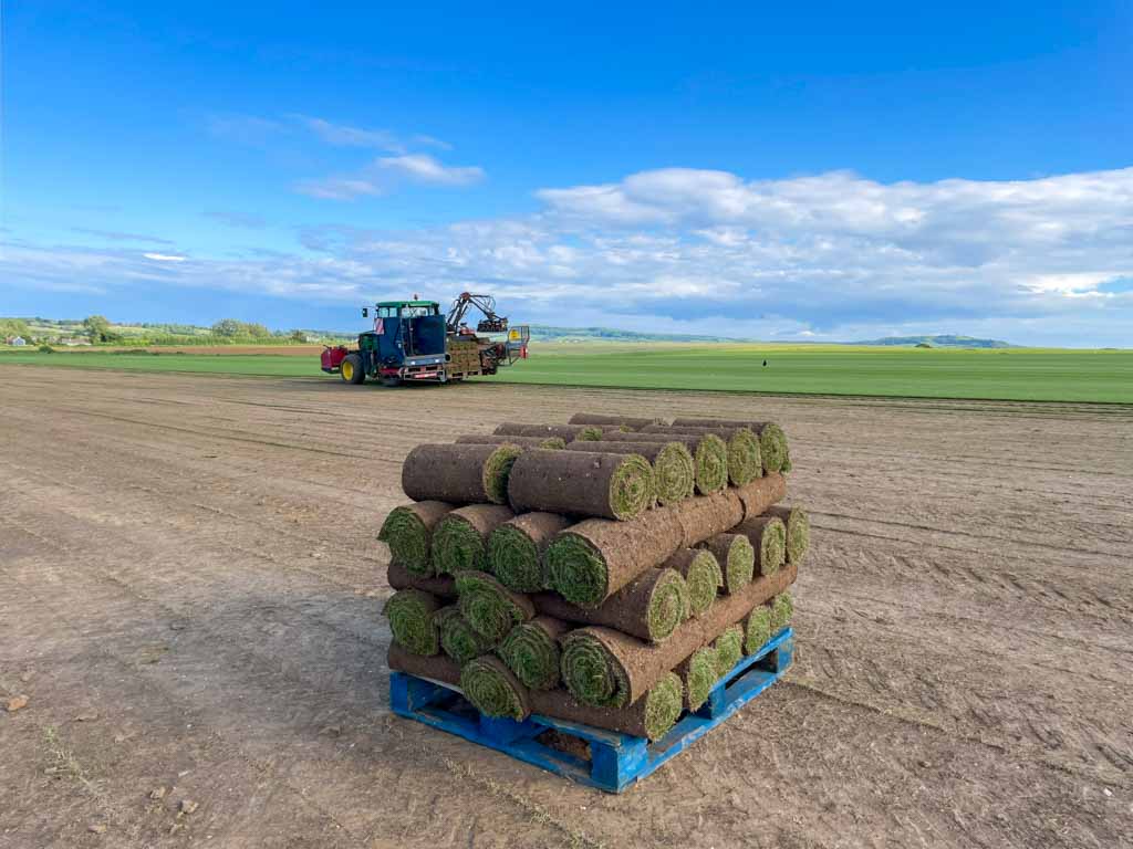 Garden turf rolls