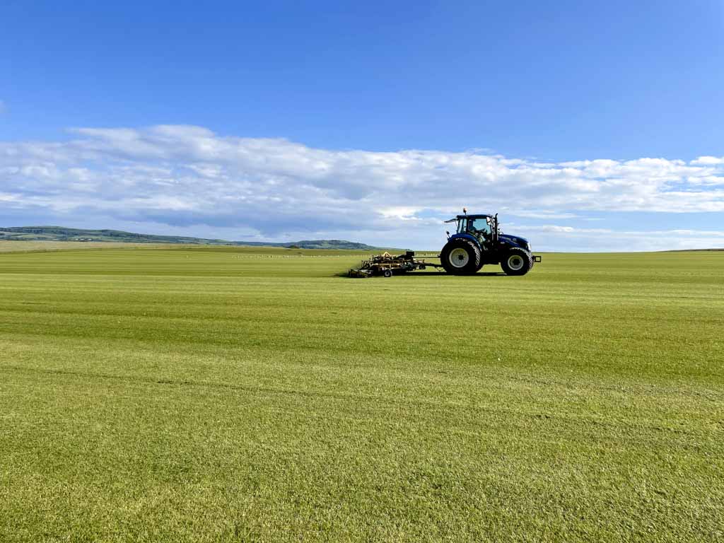 Quality grass turf