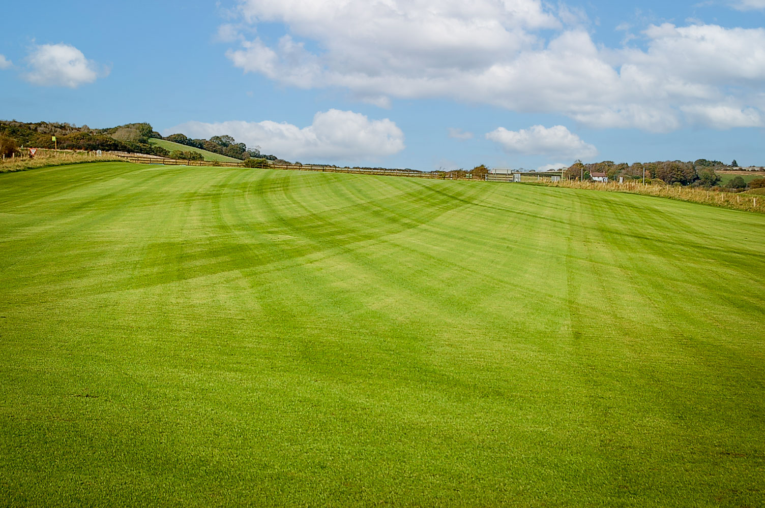 Field of turf