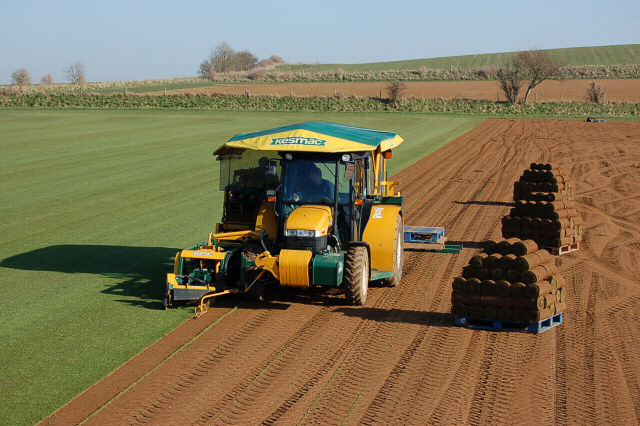 Turf harvester and pallets 