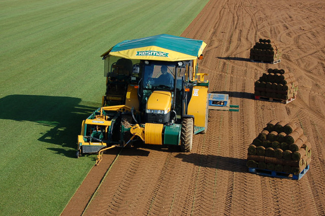 Turf harvester and pallets 